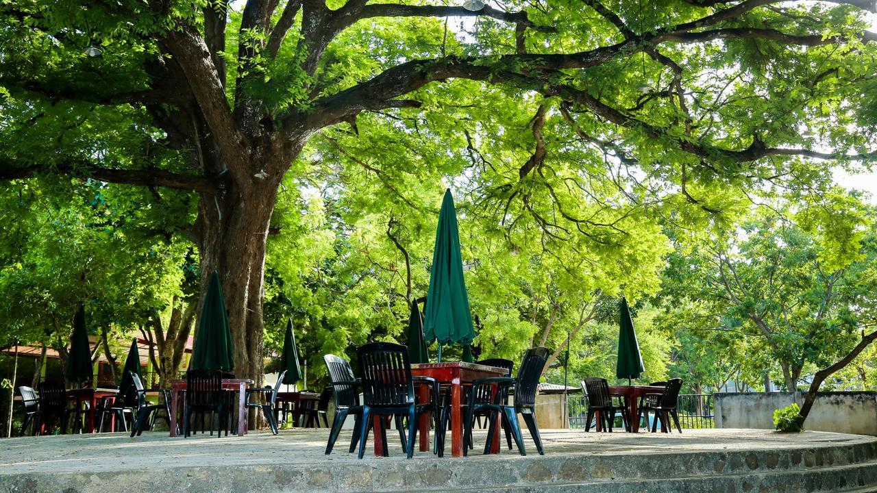 Malwathu Oya Caravan Park Acomodação com café da manhã Anuradhapura Exterior foto