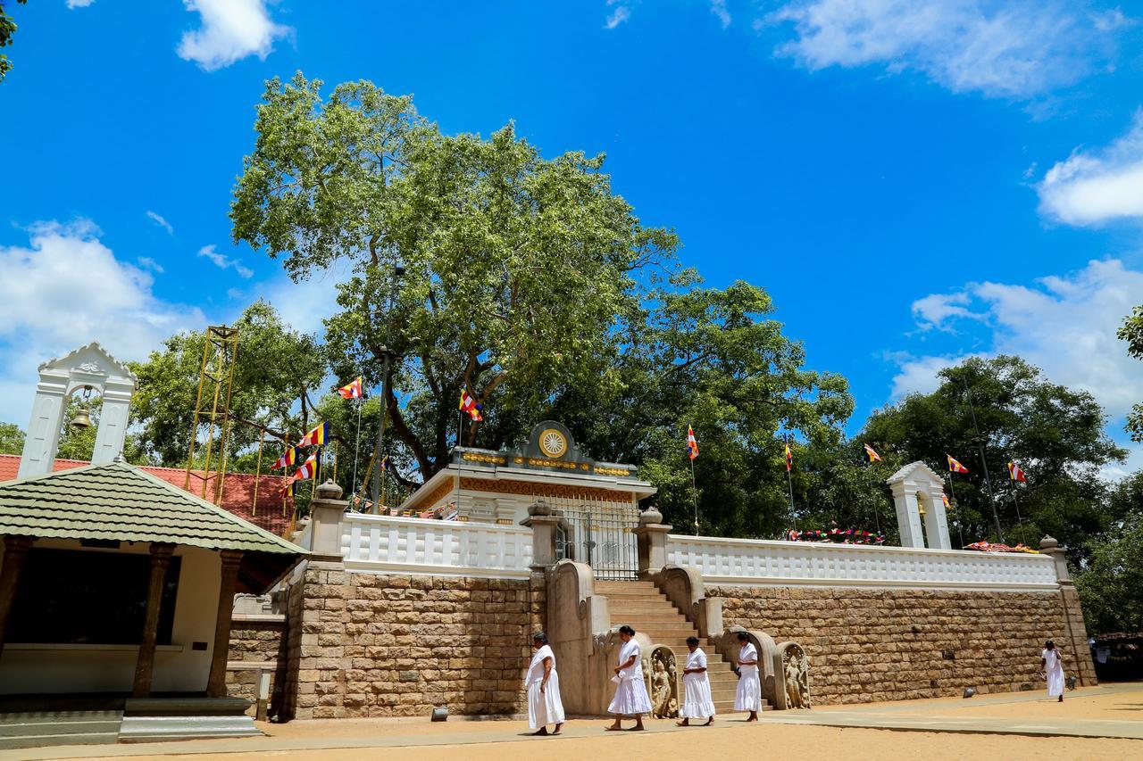 Malwathu Oya Caravan Park Acomodação com café da manhã Anuradhapura Exterior foto