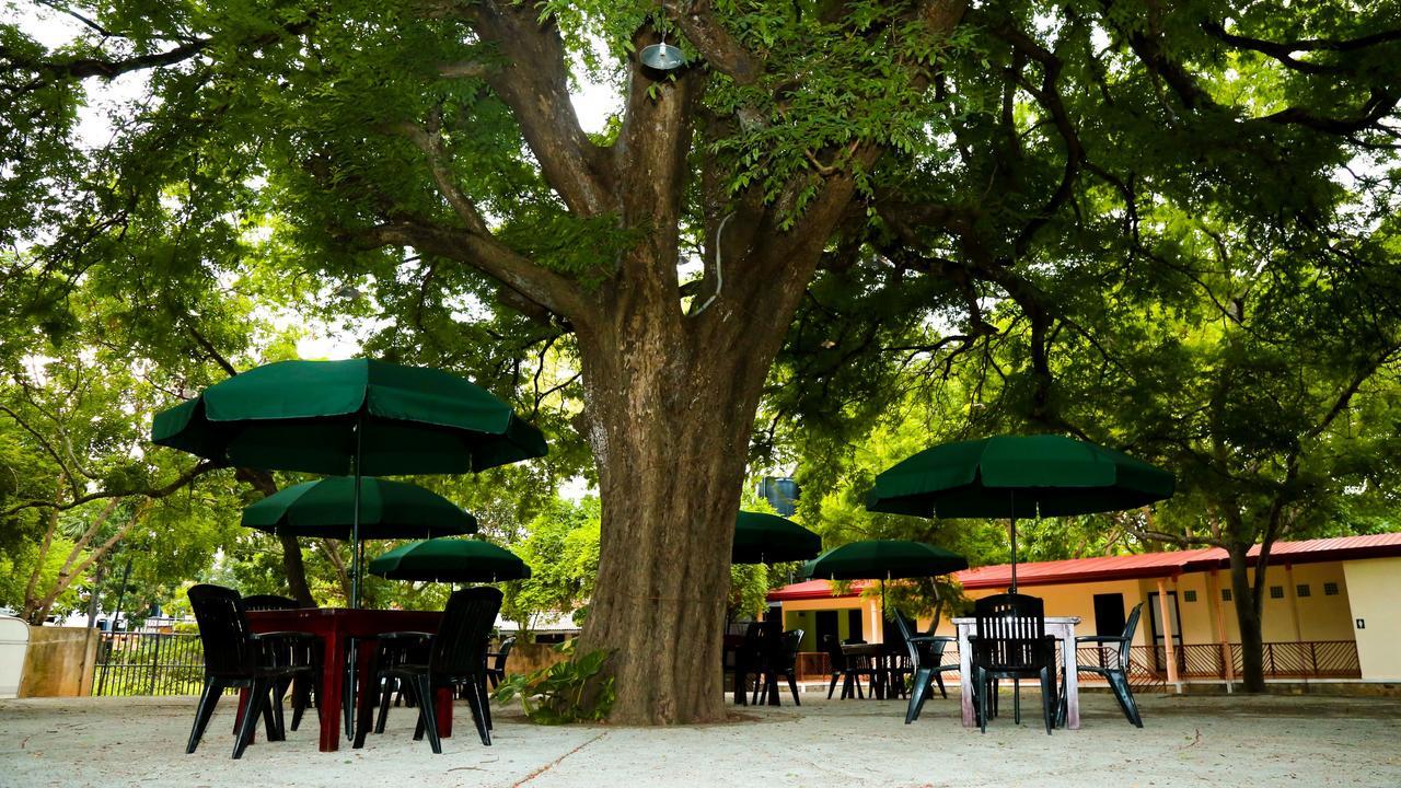 Malwathu Oya Caravan Park Acomodação com café da manhã Anuradhapura Exterior foto